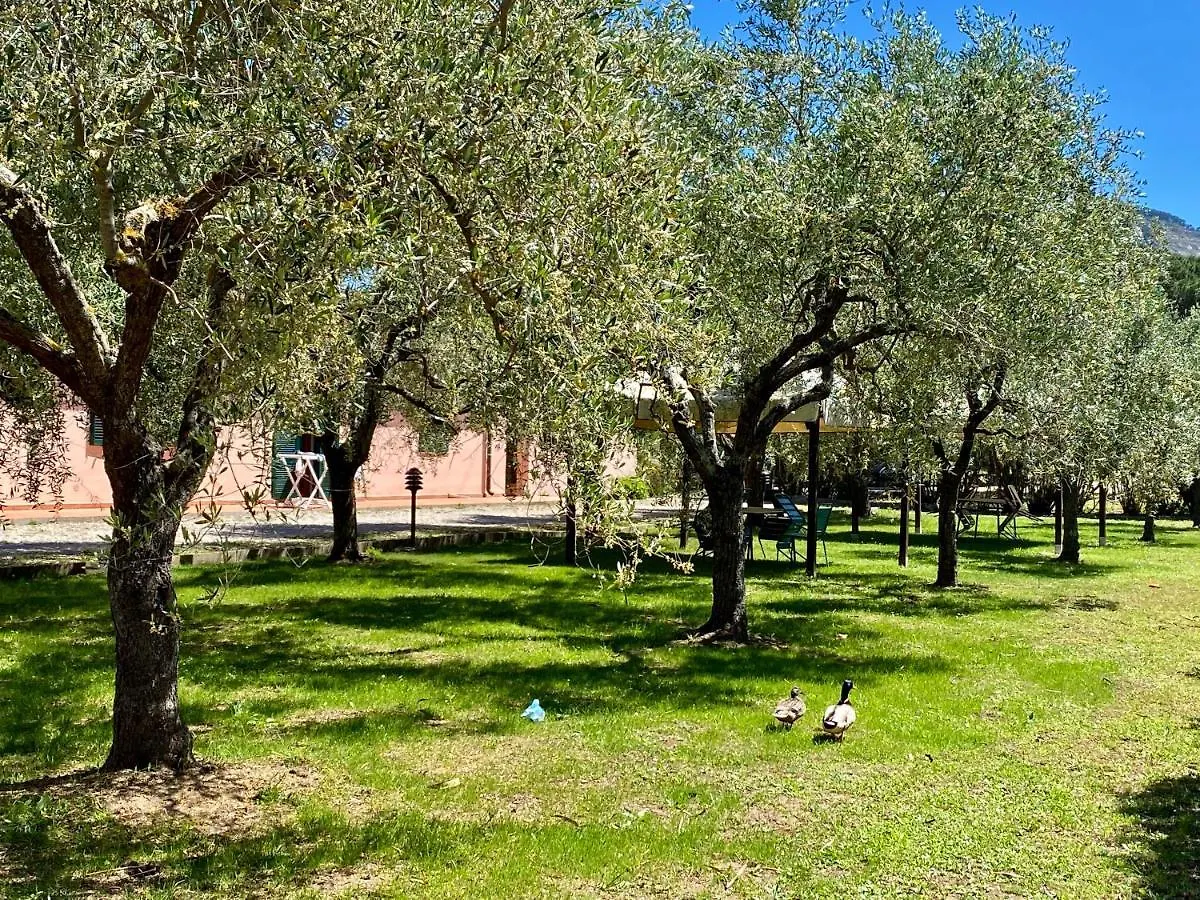 Residence Terme Isola D'Elba Srl Portoferraio 0*,  Italie
